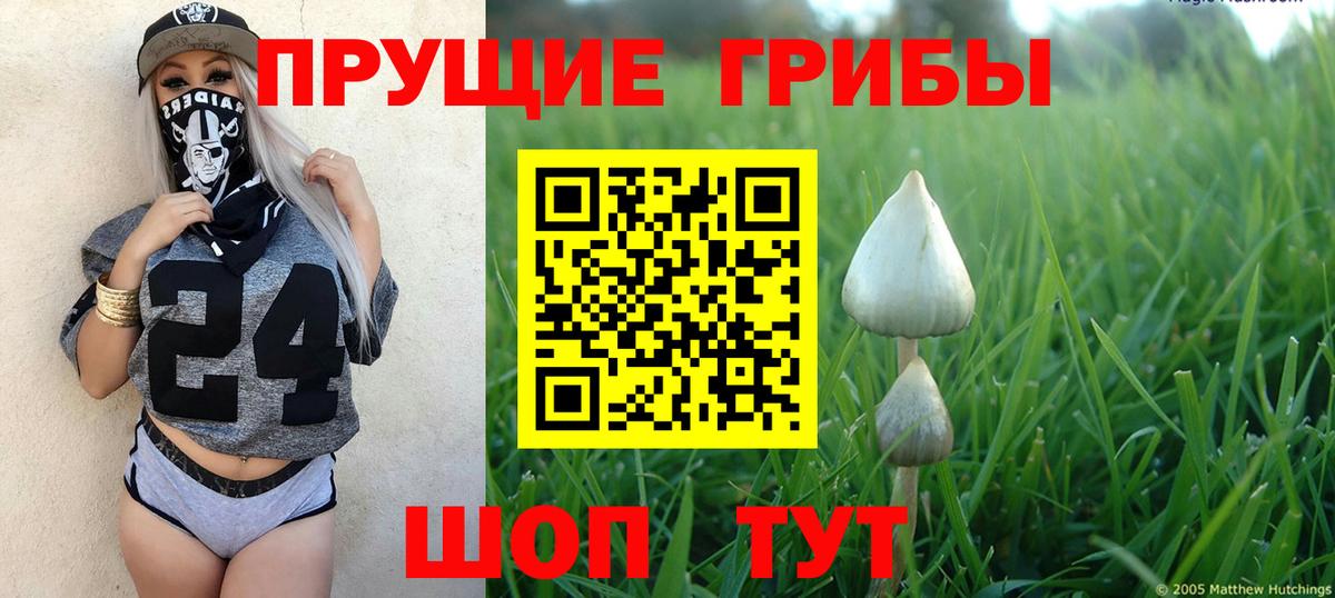 Псилоцибиновые грибы Cubensis  Вход с VPN  Родники  Галлюциногенные грибы Magic Shrooms 